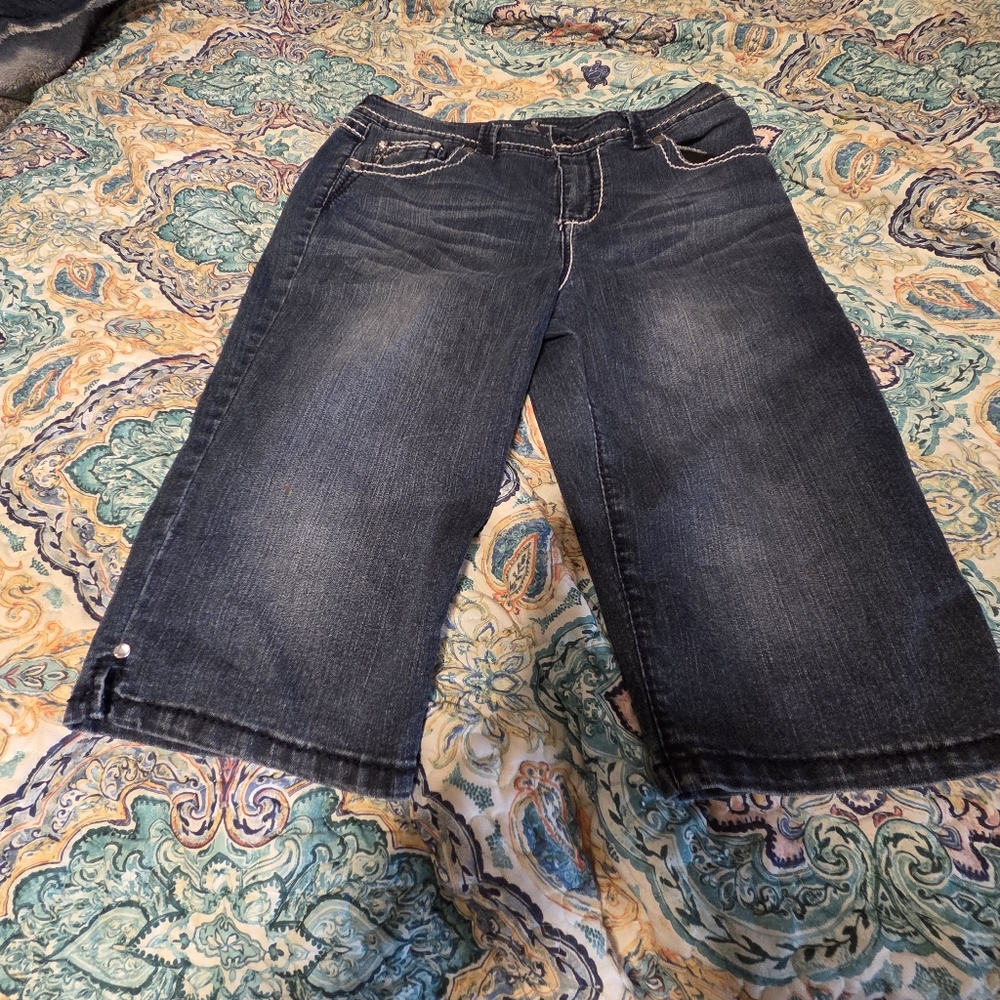 Style & Co Jean Shorts Gems Wings Western Large Stitching Size 14